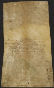 1 D.1.Iv, Investitura fatta da Dodone vescovo a favore di Giovanni e Tebaldo da Formigine, [Modena], 1101, dic. 2